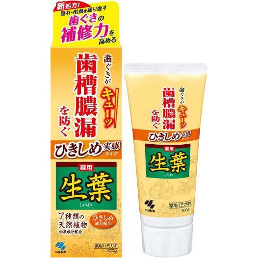 KOBAYASHI Toothpaste fortifying (cypress, birch extract), 100 g